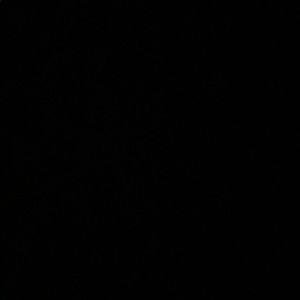 Meet your Posher, Homer